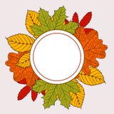 Frame of autumn leaves vector illustration Frame of autumn leaves vector illustration