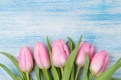 Frame of a beautiful bouquet of pink tulips flowers on a blue wooden background. top view. space for text spring. holidays royalty free stock photography Frame of a beautiful bouquet of pink tulips flowers on a blue wooden background. top view. space for text spring. holidays royalty free stock photography