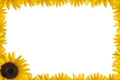 Frame do girassol imagens de stock royalty free Frame do girassol imagens de stock royalty free
