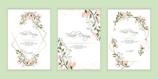 Frame on flower background. eps 10 royalty free illustration Frame on flower background. eps 10 royalty free illustration