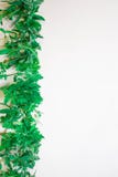 Frame from green branches, leaves on a white background. flat lay, top view. stock images Frame from green branches, leaves on a white background. flat lay, top view. stock images