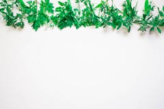 Frame from green branches, leaves on a white background. flat lay, top view. stock illustration Frame from green branches, leaves on a white background. flat lay, top view. stock illustration