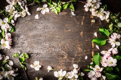 Frame Of Fruit Trees Flowers On Rustic Background Stock Photo