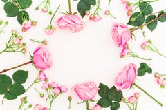 Frame pattern with roses flowers and buds on white background. Flat lay, top view. Pastel flowers Royalty Free Stock Photo Frame pattern with roses flowers and buds on white background. Flat lay, top view. Pastel flowers Royalty Free Stock Photo