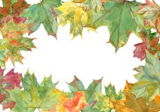 Frame of watercolor maple leaves royalty free stock image Frame of watercolor maple leaves royalty free stock image