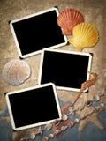 Frameworks For A Photo, Cockleshells. Stock Photo Frameworks For A Photo, Cockleshells. Stock Photo