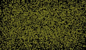 Frammenti verdi caotici, su un fondo nero Strutturato astratto fotografia stock libera da diritti Frammenti verdi caotici, su un fondo nero Strutturato astratto fotografia stock libera da diritti
