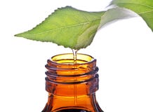 Frasco com bálsamo e folha da homeopatia foto de stock Frasco com bálsamo e folha da homeopatia foto de stock