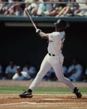 Fred McGriff, Tampa Bay Rays
