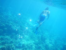 Free diver in deep ocean royalty free stock photo Free diver in deep ocean royalty free stock photo