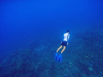 Freediver underwater in deep blue sea. Snorkeling man dives up to water surface. stock photos Freediver underwater in deep blue sea. Snorkeling man dives up to water surface. stock photos