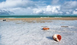 Freeze Beach Royalty Free Stock Photography Freeze Beach Royalty Free Stock Photography