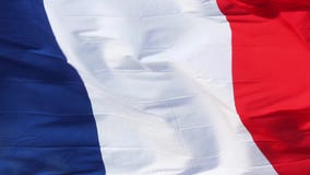 French Flag stock video French Flag stock video