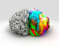Frente izquierdo y derecho del concepto del cerebro stock de ilustración Frente izquierdo y derecho del concepto del cerebro stock de ilustración