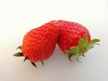 Fresas aisladas en el fondo blanco fotografía de archivo libre de regalías Fresas aisladas en el fondo blanco fotografía de archivo libre de regalías