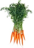 Fresh Carrots Royalty Free Stock Photography