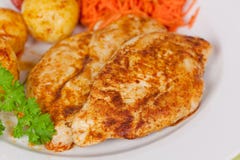 Fresh Chicken Cutlets On The Plate Stock Image Fresh Chicken Cutlets On The Plate Stock Image