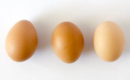 Fresh Chicken Eggs on white background royalty free stock image Fresh Chicken Eggs on white background royalty free stock image
