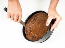 Fresh Chocolate Cake Stock Photography
