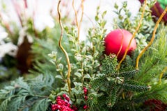 Fresh Christmas arrangement royalty free stock image Fresh Christmas arrangement royalty free stock image