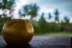 Fresh coconut open in table with straw stock photos Fresh coconut open in table with straw stock photos