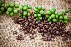 Fresh Coffee Beans On Canvas Texture Background Royalty Free Stock Photos