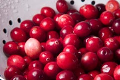 Fresh Cranberries In Colander Royalty Free Stock Photo