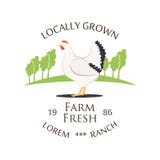 Fresh Farm Produce and logo - vector illustration. Royalty Free Stock Photos Fresh Farm Produce and logo - vector illustration. Royalty Free Stock Photos