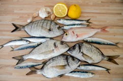 Fresh fish with lemon ready for cooking. Preparing delicious and tasty seafood meal. Uncooked Gilt-head sea bream, Sardines, Commo royalty free stock photography Fresh fish with lemon ready for cooking. Preparing delicious and tasty seafood meal. Uncooked Gilt-head sea bream, Sardines, Commo royalty free stock photography