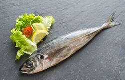 Fresh Fish Mackerel On Black Background Stock Photo Fresh Fish Mackerel On Black Background Stock Photo