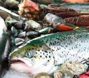 Fresh fish and seafood Stock Photography Fresh fish and seafood Stock Photography
