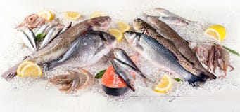 Fresh fish and seafood on white wooden background. Healthy eating.