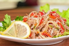 Fresh Funchozy Salad Royalty Free Stock Photography Fresh Funchozy Salad Royalty Free Stock Photography