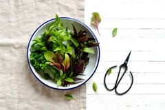 Fresh garden herbs in a vintage plate royalty free stock photo Fresh garden herbs in a vintage plate royalty free stock photo