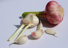Fresh garlic on light background stock photo Fresh garlic on light background stock photo