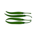Fresh Green Chili vector image stock illustration Fresh Green Chili vector image stock illustration