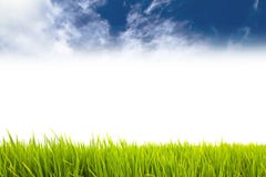Fresh green grass as border on the lower side of the horizontal frame in a seamless empty white background with blue sky. With clouds on top. Useful as design Royalty Free Stock Photo Fresh green grass as border on the lower side of the horizontal frame in a seamless empty white background with blue sky. With clouds on top. Useful as design Royalty Free Stock Photo
