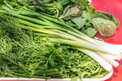 Fresh healthy greens on a plate stock photography Fresh healthy greens on a plate stock photography