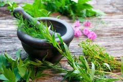Fresh Herbs Royalty Free Stock Images Fresh Herbs Royalty Free Stock Images