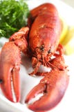 Fresh lobster