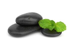 Fresh Mint On The Black Stones With Drops Royalty Free Stock Photography Fresh Mint On The Black Stones With Drops Royalty Free Stock Photography