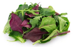 Fresh mixed salad on white background stock image Fresh mixed salad on white background stock image