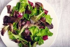 Fresh mixed salad royalty free stock photography Fresh mixed salad royalty free stock photography