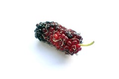 Fresh mulberry fruit on white background Stock Photo Fresh mulberry fruit on white background Stock Photo
