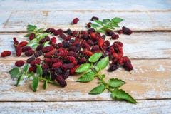 .Fresh mulberry on a wooden background stock image .Fresh mulberry on a wooden background stock image