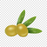 Fresh olives icon, realistic style vector illustration Fresh olives icon, realistic style vector illustration