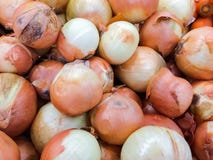 Fresh onions background, Vegetables for healthy stock photos Fresh onions background, Vegetables for healthy stock photos
