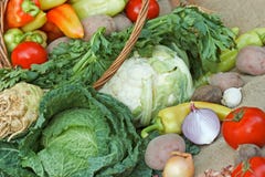Fresh Organic Vegetables Fresh Organic Vegetables