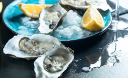 Fresh oysters close-up on blue plate, served table with oysters, lemon and champagne in restaurant stock photo Fresh oysters close-up on blue plate, served table with oysters, lemon and champagne in restaurant stock photo