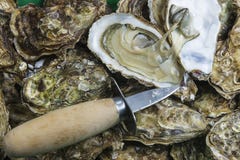 Fresh oysters and knife stock photo Fresh oysters and knife stock photo